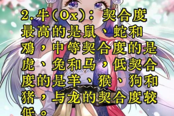 测名字姻缘，揭秘命中注定的爱侣配对