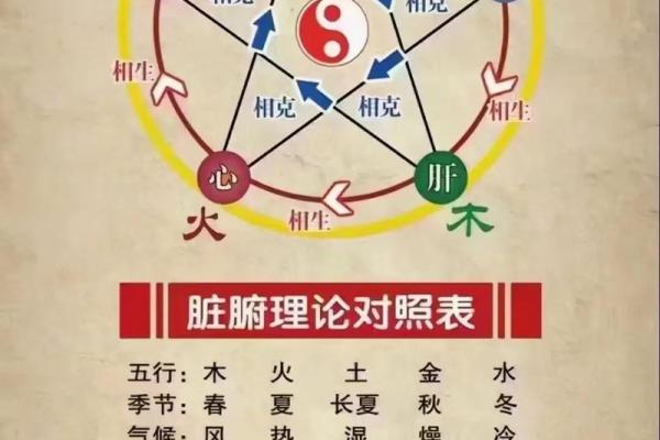 餐饮行业在五行中代表什么？揭秘五行与餐饮的关系