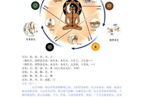 餐饮行业在五行中代表什么？揭秘五行与餐饮的关系