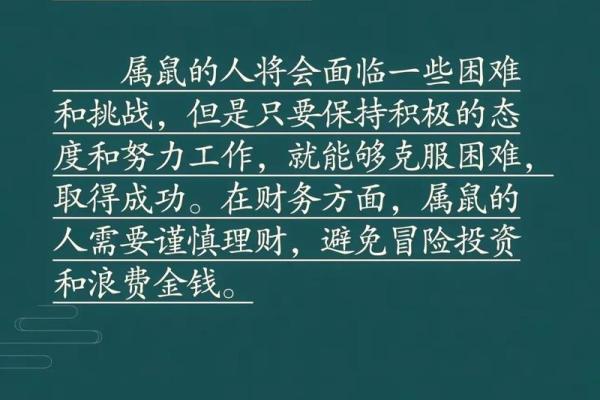 属鼠人的本命年如何保持生活节奏