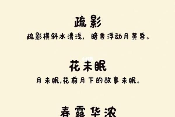 创意十足的打印机公司命名技巧与建议