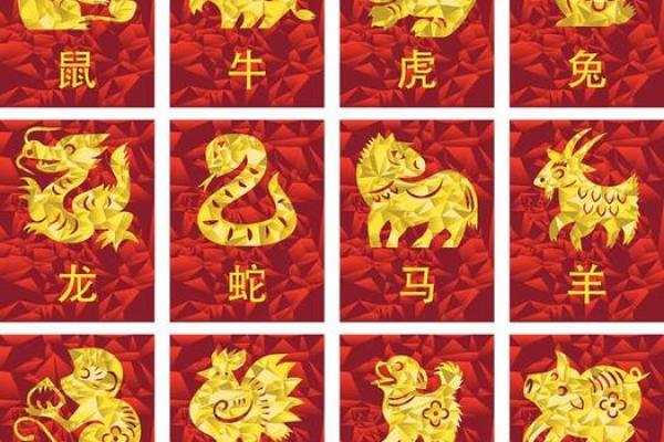 十二生肖运程与财运：财富走势大揭秘
