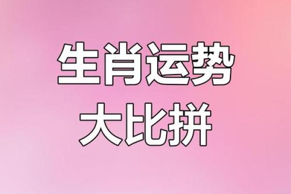 十二生肖运程与财运：财富走势大揭秘