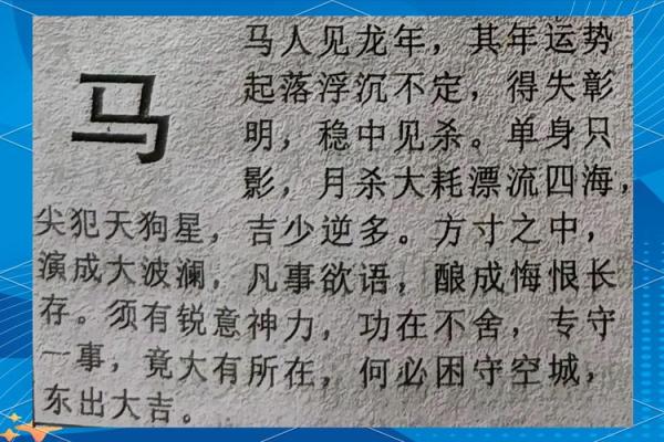 属马每月运势解析：逐月运程指南
