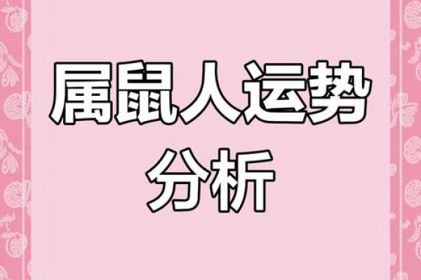 鼠年运程如何影响你的生活？分析属鼠人的运势详情