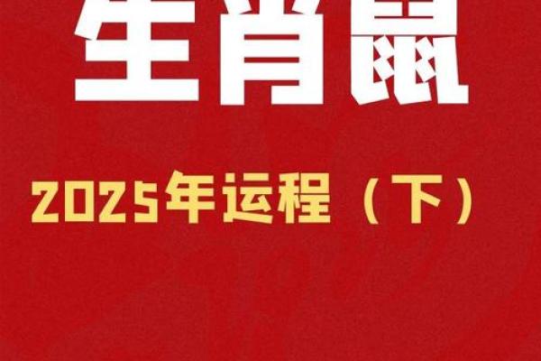 鼠年运程如何影响你的生活？分析属鼠人的运势详情