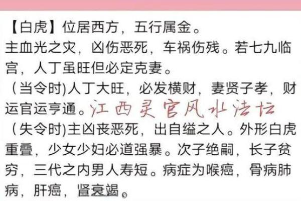 白虎招财风水布局指南助你旺财开运