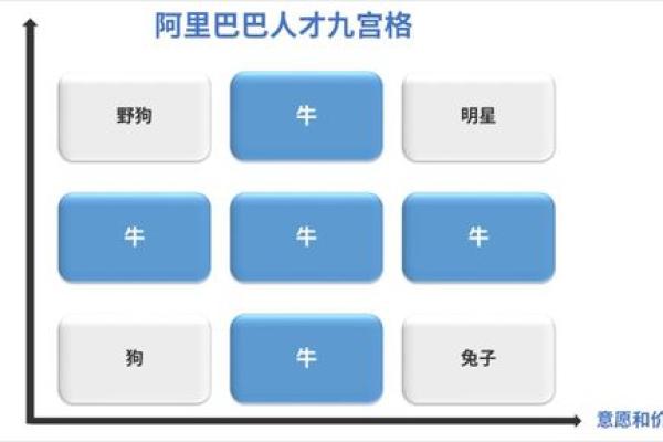 阿里巴巴下属公司命名策略解析
