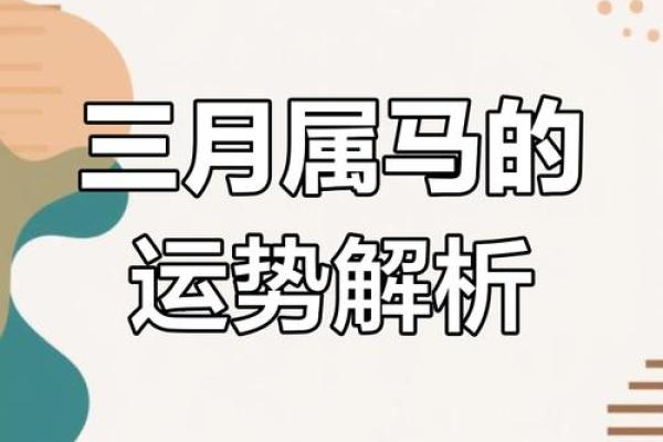 属马人的幸运与挑战：运势走势逐月预测