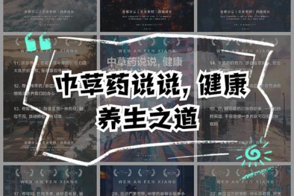 草药的魅力：那些让人陶醉的名字