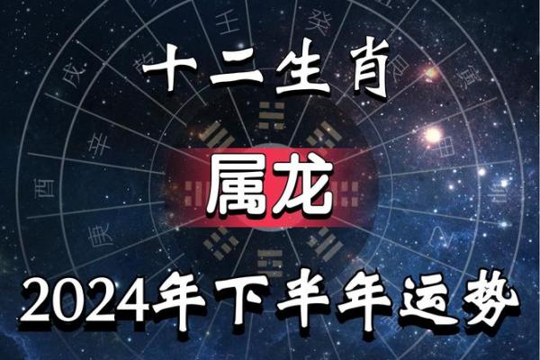 属龙每月运势解析