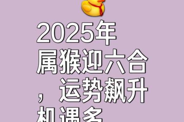 属猴人本命年如何从失败中汲取教训