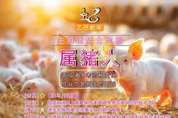 属猪每月运程预测及建议