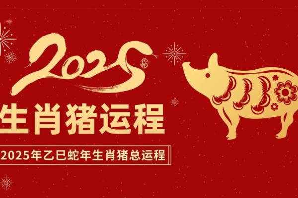 属猪每月运程预测及建议