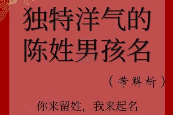 陈姓男孩取名字的五个实用建议
