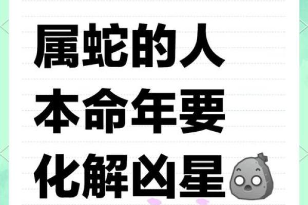 本命年蛇男的感情运势预测与建议