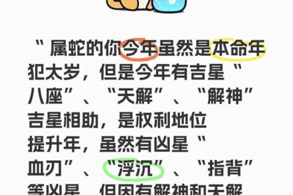 本命年蛇男的感情运势预测与建议