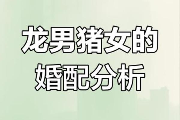 男猪女猪婚姻配对：理想与现实的碰撞