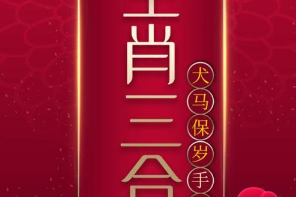 本命年羊女如何做好情感生活的规划
