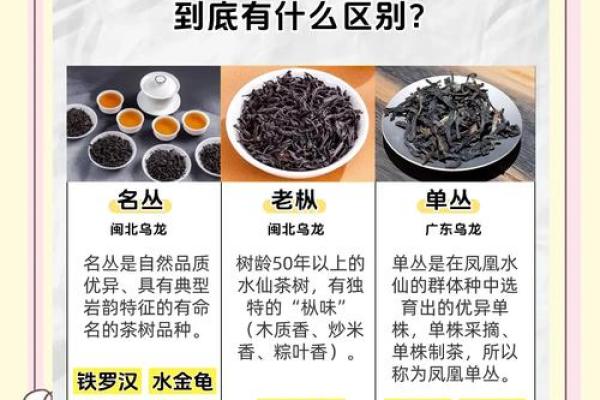 丛的五行属性解析：如何影响我们的日常生活与运势