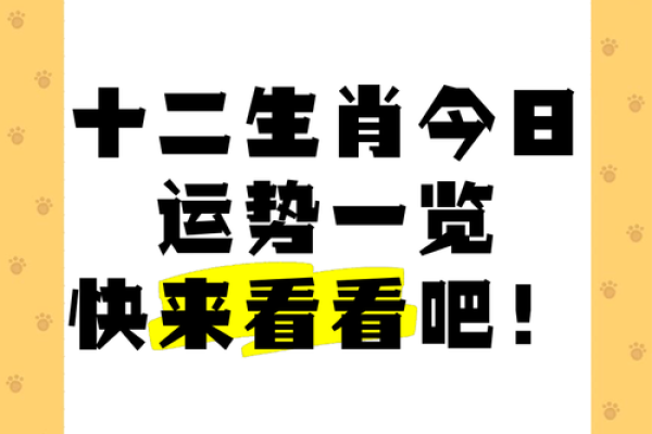 十二生肖今日运程详解，如何把握今天的幸运时机