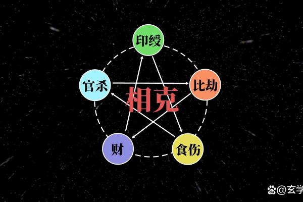 陈奕鸣五行属性透视：命运中的关键因素