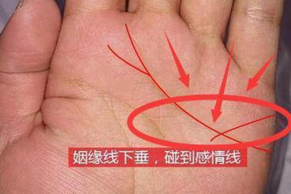 解析男命双桃花与情感稳定性的关系