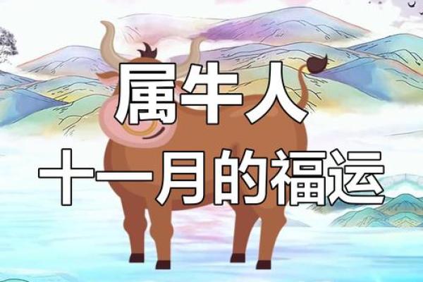 属牛运势全解析：每月运程逐月分析