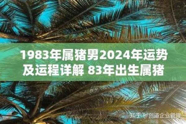 属猪每月运势起伏及应对策略