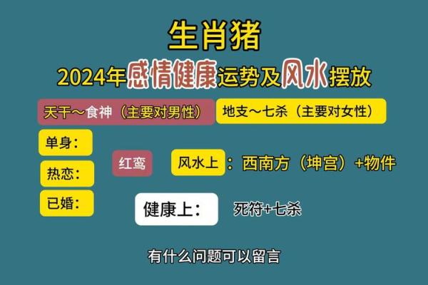 属猪每月运势起伏及应对策略