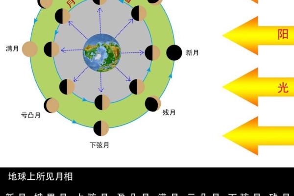 为什么阴历农历在中国文化中如此重要？