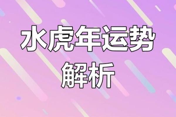 本命年属虎人的职场运势详解
