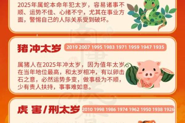 生肖运程不同属相的幸运与不利因素