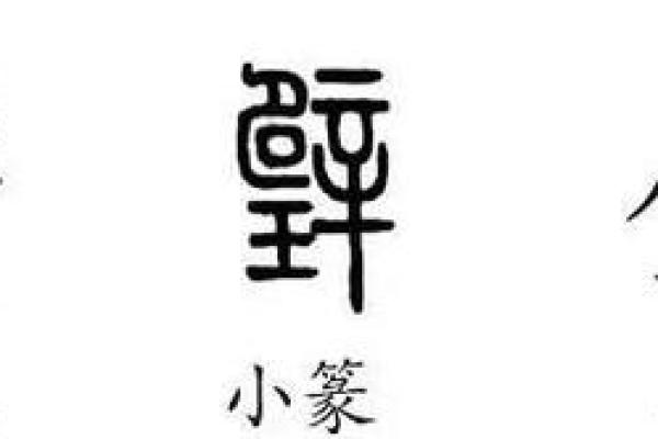 璧字五行属性解析，如何影响命运运势