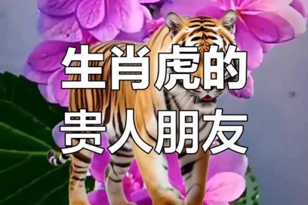 虎和鼠的缘分：是否能成为理想搭档？