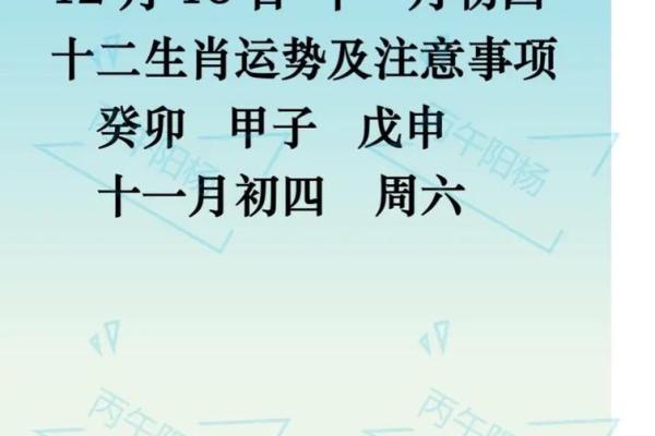 生肖运势全分析：每个属相的幸运与注意事项