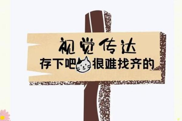 从创意到实践：选择完美组名字的技巧与建议