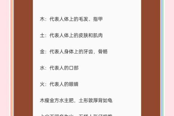吃字五行揭秘：如何根据五行调节饮食，让健康加分