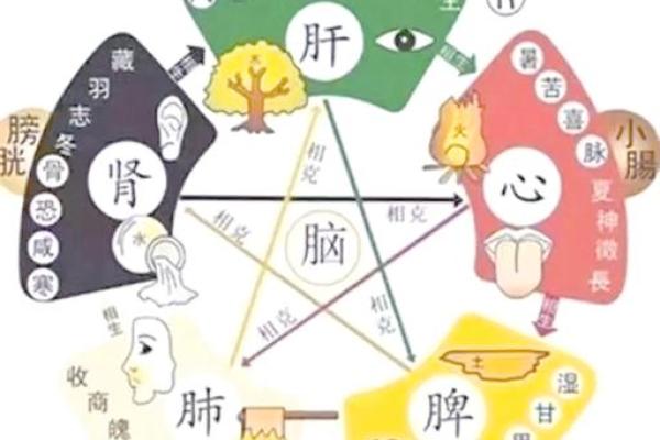 初一五行分析：如何根据五行掌握运势变化