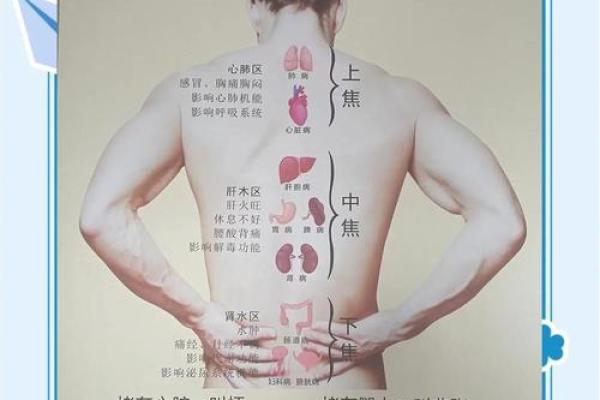 2023三月万年历：解锁春季养生秘籍
