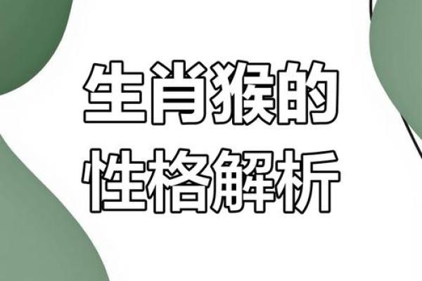 女属蛇男属猴的性格匹配与婚姻运势分析