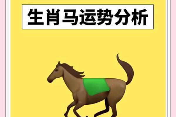 属马人每月运程解析，掌握全年运势