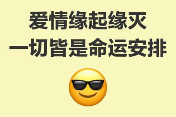 甲子姻缘带来的爱情契机，如何抓住命运的机会？