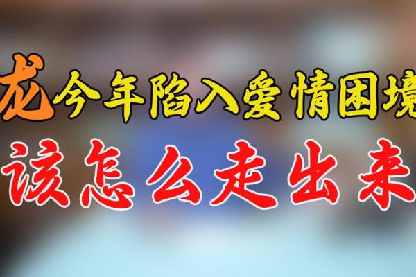 甲子姻缘影响你的人生选择，如何走出爱情困局？
