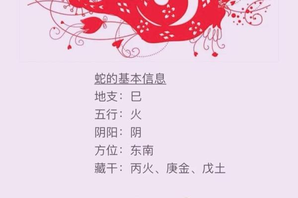 属蛇每月运势解析及建议