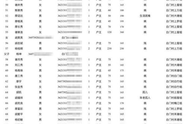 身份证号码与个人信息隐私安全探讨