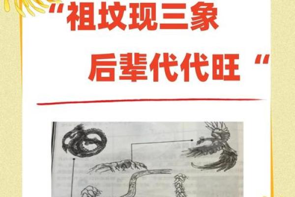 从移祖坟风水传说看祖先文化的深远影响