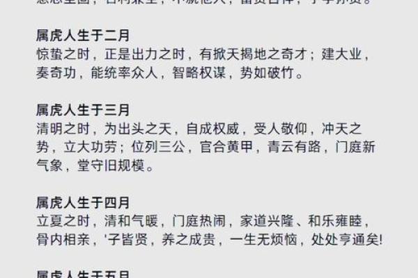属虎人运势全解析：每月运程起伏与应对策略
