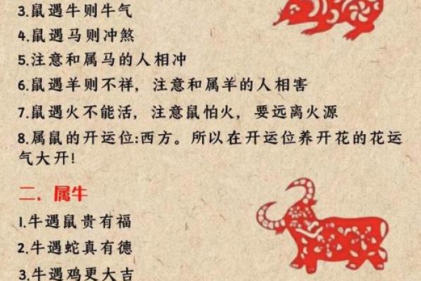 探秘各生肖运势，财运、事业与感情大揭密