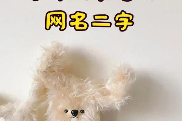 QQ名字二字的独特魅力